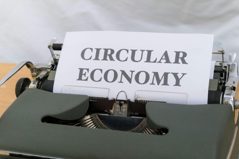 The Role of Circular Economy in Norway’s Sustainable Future and Its Implications for Bulgaria